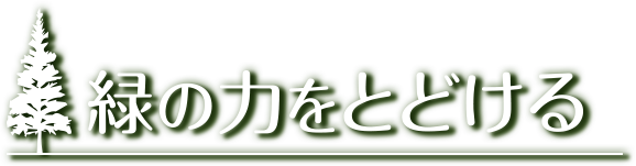 緑の力をとどける