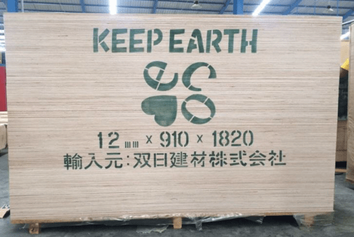 Falcata Plywood